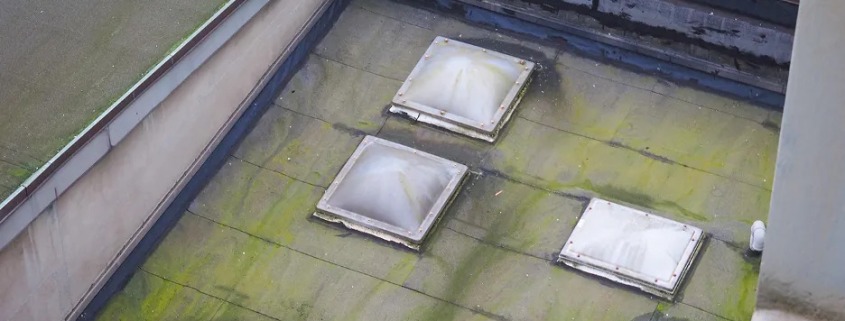 tips for winterizing your roof