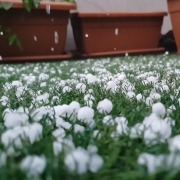 Hail Damage, Storm Damage